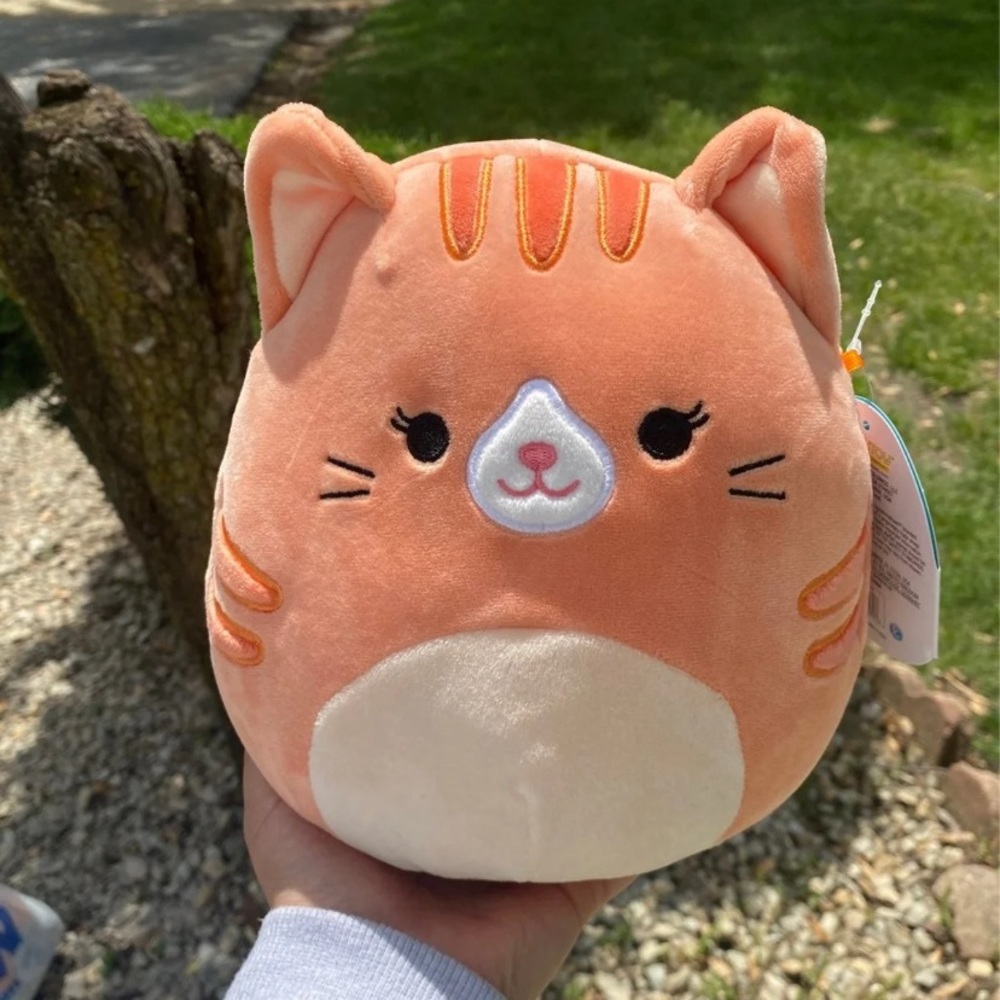 Gigi the cat 8inches!
